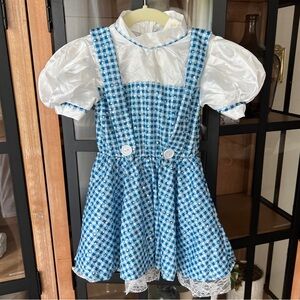Dorothy toddler costume dress wizard of oz wicked puff sleeves lace sparkly girl